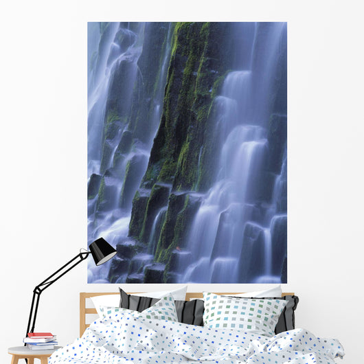 Lower Proxy Falls B1598 Wall Mural