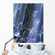 Lower Proxy Falls B1598 Wall Mural
