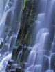Lower Proxy Falls B1598 Wall Mural
