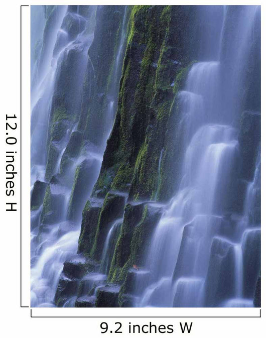 Lower Proxy Falls B1598 Wall Mural