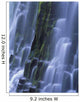 Lower Proxy Falls B1598 Wall Mural