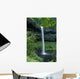 Oregon, Silver Falls National Park, South Falls, B1653 Wall Mural