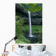 Oregon, Silver Falls National Park, South Falls, B1653 Wall Mural
