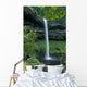 Oregon, Silver Falls National Park, South Falls, B1653 Wall Mural