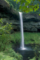 Oregon, Silver Falls National Park, South Falls, B1653 Wall Mural
