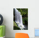 Oregon, Silver Falls State Park, Lower South Falls, B1648 Wall Mural