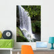Oregon, Silver Falls State Park, Lower South Falls, B1648 Wall Mural