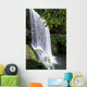 Oregon, Silver Falls State Park, Lower South Falls, B1648 Wall Mural