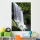 Oregon, Silver Falls State Park, Lower South Falls, B1648 Wall Mural