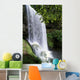 Oregon, Silver Falls State Park, Lower South Falls, B1648 Wall Mural