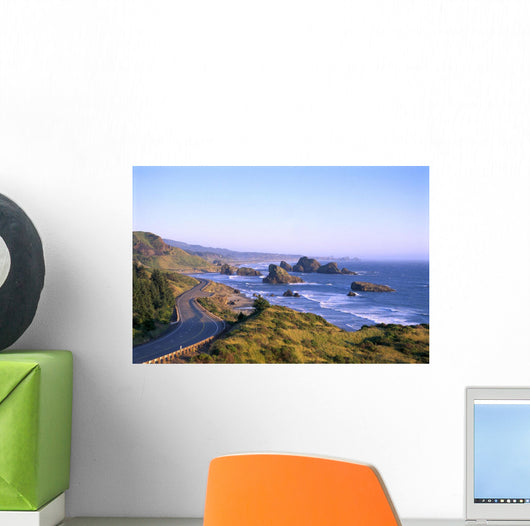 Highway 101 And Pistol River State Park From Cape Sebastian B1644 Wall Mural