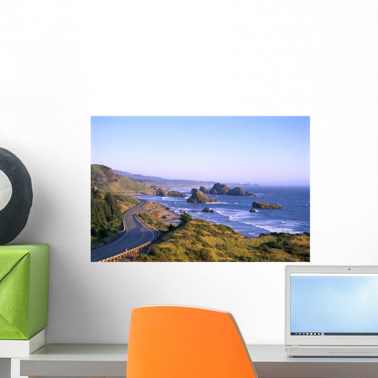 Highway 101 And Pistol River State Park From Cape Sebastian B1644 Wall Mural