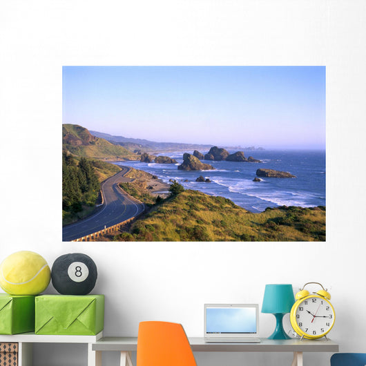 Highway 101 And Pistol River State Park From Cape Sebastian B1644 Wall Mural