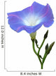 Blaue Blume Wicke
