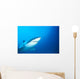 Australia, Great White Shark White Pointer Portrait B2016 Wall Mural
