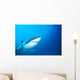 Australia, Great White Shark White Pointer Portrait B2016 Wall Mural