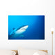 Australia, Great White Shark White Pointer Portrait B2016 Wall Mural