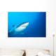 Australia, Great White Shark White Pointer Portrait B2016 Wall Mural
