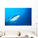 Australia, Great White Shark White Pointer Portrait B2016 Wall Mural