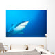 Australia, Great White Shark White Pointer Portrait B2016 Wall Mural