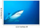 Australia, Great White Shark White Pointer Portrait B2016 Wall Mural