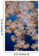 Fiji, Lau Islands, Tree Coral B1953 Wall Mural