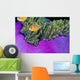 Palau, Anemonefish In Pink Anemone B1952 Wall Mural