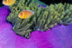 Palau, Anemonefish In Pink Anemone B1952 Wall Mural