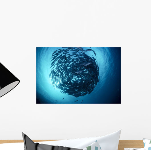 Malaysia, Borneo, Sipadan Island, Schooling Bigeye Trevally B1950 Wall Mural