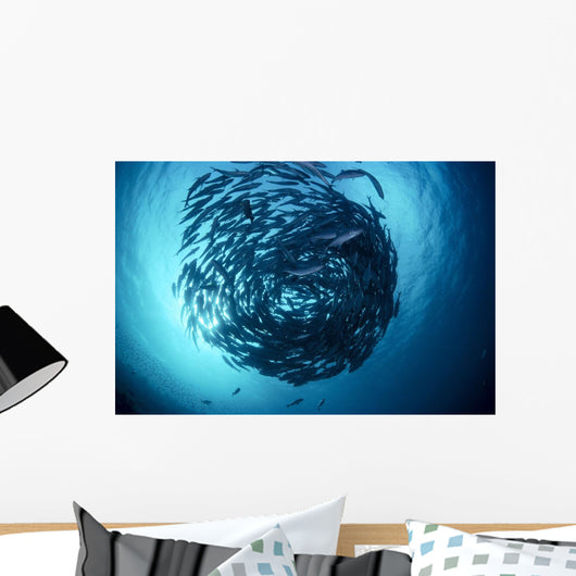 Malaysia, Borneo, Sipadan Island, Schooling Bigeye Trevally B1950 Wall Mural