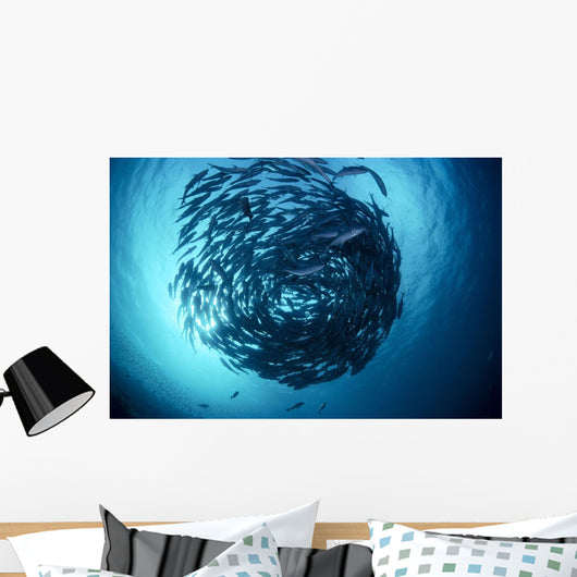 Malaysia, Borneo, Sipadan Island, Schooling Bigeye Trevally B1950 Wall Mural