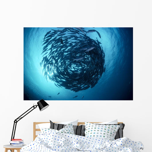 Malaysia, Borneo, Sipadan Island, Schooling Bigeye Trevally B1950 Wall Mural