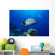 Australia, Great Barrier Reef, Potato Cod B1946 Wall Mural