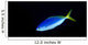 Soloman Islands, Fusilier Fish B1928 Wall Mural