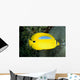 Australia, Bluespot Butterflyfish B1926 Wall Mural