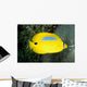 Australia, Bluespot Butterflyfish B1926 Wall Mural