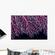 Papua New Guinea, Lace Coral Close-Up B1921 Wall Mural