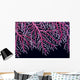 Papua New Guinea, Lace Coral Close-Up B1921 Wall Mural