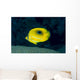 Micronesia, Bennett's Butterflyfish B1954 Wall Mural