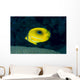 Micronesia, Bennett's Butterflyfish B1954 Wall Mural