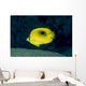 Micronesia, Bennett's Butterflyfish B1954 Wall Mural