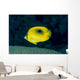 Micronesia, Bennett's Butterflyfish B1954 Wall Mural