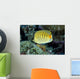 Micronesia, Spot-Banded Butterflyfish B1968 Wall Mural