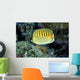 Micronesia, Spot-Banded Butterflyfish B1968 Wall Mural