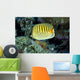 Micronesia, Spot-Banded Butterflyfish B1968 Wall Mural