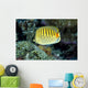 Micronesia, Spot-Banded Butterflyfish B1968 Wall Mural