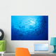 Mexico, Schooling Big Eye Jacks With Sunburst B1927 Wall Mural