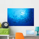 Mexico, Schooling Big Eye Jacks With Sunburst B1927 Wall Mural