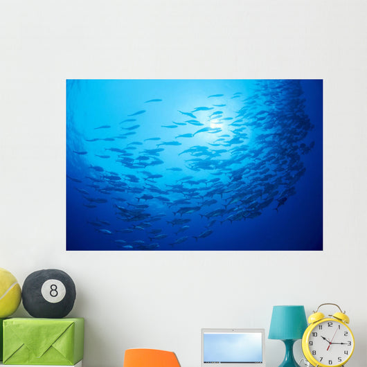 Mexico, Schooling Big Eye Jacks With Sunburst B1927 Wall Mural