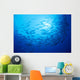 Mexico, Schooling Big Eye Jacks With Sunburst B1927 Wall Mural